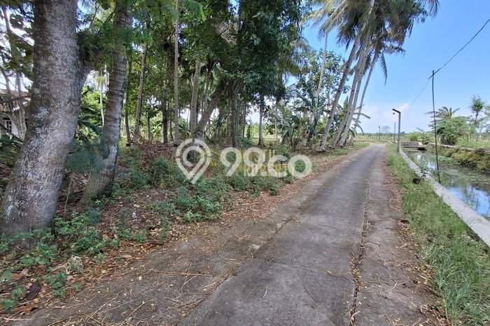 Tanah Dijual Lokasi Wates, Kulon Progo dengan Luas Tanah 768m2 dan Status SHM Tanah Dijual Lokasi Wates, Kulon Progo dengan Luas Tanah 768m2 dan Status SHM