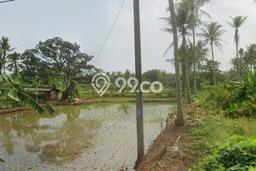 Tanah Dijual Lokasi Pagelaran Pandeglang SHM Tanah Dijual Lokasi Pagelaran Pandeglang SHM