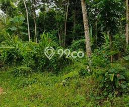 Tanah Kavling untuk Dijual di Kelapa Gading Jakarta Utara 35000m2 Tanah Kavling untuk Dijual di Kelapa Gading Jakarta Utara 35000m2
