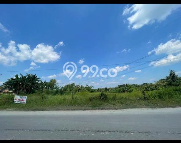 Jarang Ada! Tanah di Maja Punya Luas 3400m2 - Jarang Ada! Tanah di Maja Punya Luas 3400m2 -