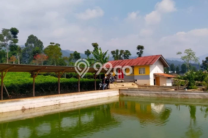 Lahan untuk Dijual Lokasi Ciwidey, Bandung Luas 12000m2 SHM Lahan untuk Dijual Lokasi Ciwidey, Bandung Luas 12000m2 SHM