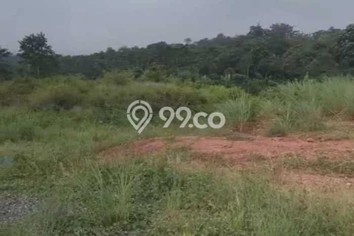 Kavling Tanah Dijual di Kajen Pekalongan Spesifikasi 250000m2 Kavling Tanah Dijual di Kajen Pekalongan Spesifikasi 250000m2