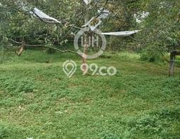 Tanah Komersial Dijual di Sukorejo Kendal 11000m2 Tanah Komersial Dijual di Sukorejo Kendal 11000m2