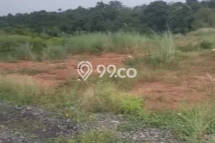 Kavling Tanah Dijual di Kajen Pekalongan Spesifikasi 250000m2 Kavling Tanah Dijual di Kajen Pekalongan Spesifikasi 250000m2