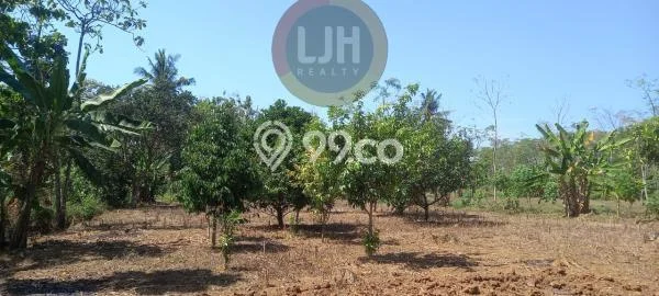 Lahan untuk Dijual Lokasi Mijen, Semarang Luas 2562m2 - Lahan untuk Dijual Lokasi Mijen, Semarang Luas 2562m2 -