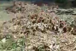 Dijual Tanah di Depok, Luas 1100m2 SHM Dijual Tanah di Depok, Luas 1100m2 SHM