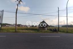 Tanah Kosong Dijual di Kulon Progo dengan Area 1075m2 Tanah Kosong Dijual di Kulon Progo dengan Area 1075m2