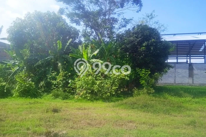 LOKASI STRATEGIS! Tanah Kawasan Berbah, Luas 8100m2m², Lokasi Potensial, Cocok untuk Investasi LOKASI STRATEGIS! Tanah Kawasan Berbah, Luas 8100m2m², Lokasi Potensial, Cocok untuk Investasi