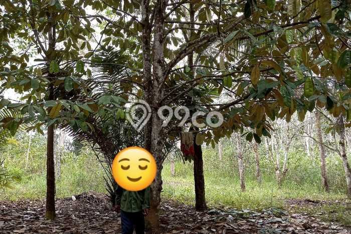Dijual Tanah di Balikpapan, Luas 32782m2 SHM Dijual Tanah di Balikpapan, Luas 32782m2 SHM