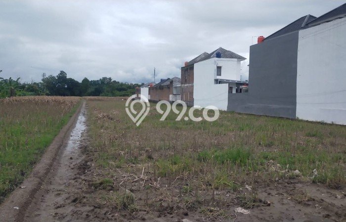 Tanah Kavling untuk Dijual di Kalasan Sleman 2575m2 Tanah Kavling untuk Dijual di Kalasan Sleman 2575m2