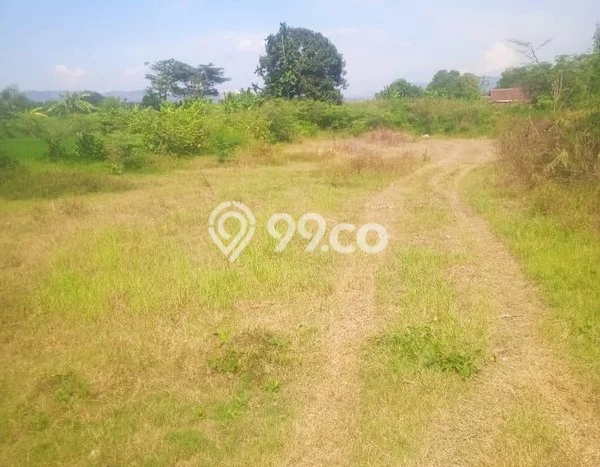 LOKASI STRATEGIS! Tanah Kawasan Berbah, Luas 8100m2m², Lokasi Potensial, Cocok untuk Investasi LOKASI STRATEGIS! Tanah Kawasan Berbah, Luas 8100m2m², Lokasi Potensial, Cocok untuk Investasi