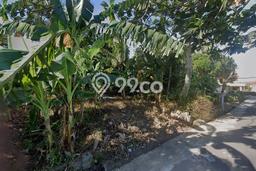 Tanah Dijual Lokasi Jogonalan, Klaten dengan Luas Tanah 2135m2 dan Status SHM Tanah Dijual Lokasi Jogonalan, Klaten dengan Luas Tanah 2135m2 dan Status SHM