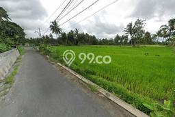 Lahan Strategis di Pakem Dijual dengan Luas 1693m2 Lahan Strategis di Pakem Dijual dengan Luas 1693m2