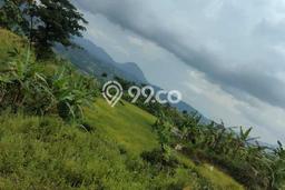 Lahan Investasi Lokasi Sukamakmur Bogor AJB Lahan Investasi Lokasi Sukamakmur Bogor AJB