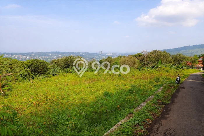 Tanah Dijual Lokasi Strategis di Bogor dengan Luas 3200m2 Tanah Dijual Lokasi Strategis di Bogor dengan Luas 3200m2