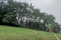 Tanah Dijual Area Strategis di Sentul City Bogor 921m2 Tanah Dijual Area Strategis di Sentul City Bogor 921m2