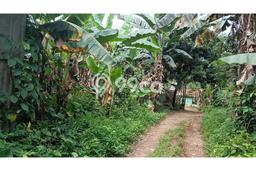 Dijual Tanah di Bogor, Luas 531m2 SHM Dijual Tanah di Bogor, Luas 531m2 SHM