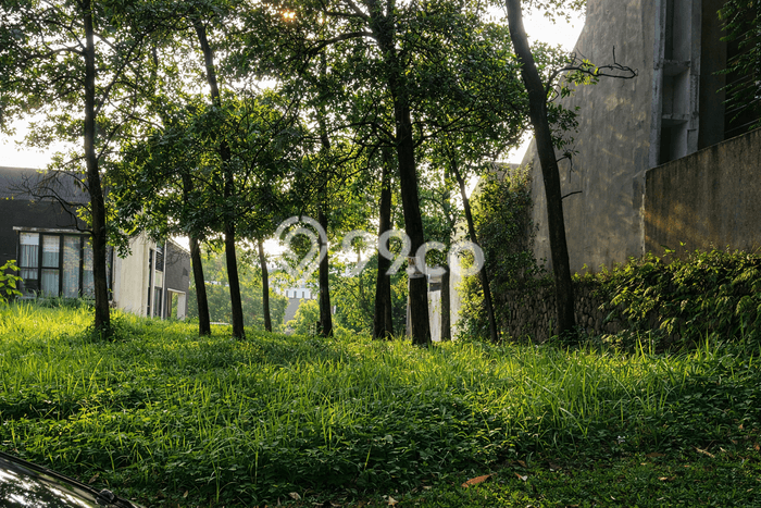 Tanah Kavling Dijual di Bogor dengan Spesifikasi 287m2 Tanah Kavling Dijual di Bogor dengan Spesifikasi 287m2