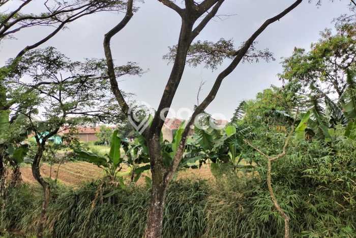 Tanah Kavling untuk Dijual di Baleendah Bandung 1040m2 Tanah Kavling untuk Dijual di Baleendah Bandung 1040m2