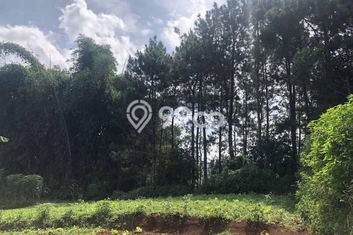 Tanah Kavling Dijual di Bandung dengan Spesifikasi 22175m2 Tanah Kavling Dijual di Bandung dengan Spesifikasi 22175m2