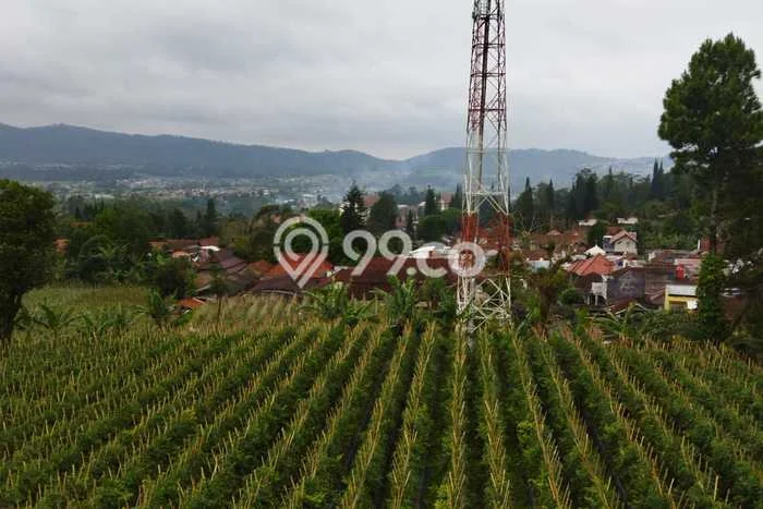 Kavling Tanah di Lembang Dijual Luas 1500m2 Legalitas SHM Kavling Tanah di Lembang Dijual Luas 1500m2 Legalitas SHM