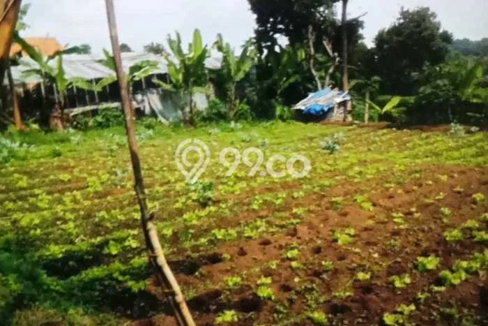 Tanah Kavling Dijual di Parongpong, Bandung dengan Luas Tanah 1720m2 Tanah Kavling Dijual di Parongpong, Bandung dengan Luas Tanah 1720m2