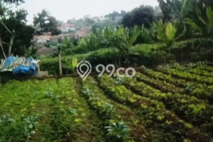 Tanah Kavling Dijual di Parongpong, Bandung dengan Luas Tanah 1720m2 Tanah Kavling Dijual di Parongpong, Bandung dengan Luas Tanah 1720m2