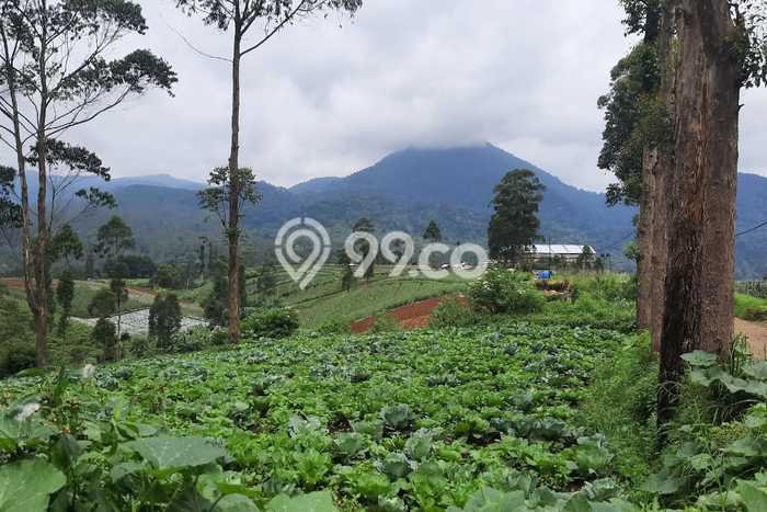 Lahan Kosong Dijual di Bandung dengan Area 2240m2 Lahan Kosong Dijual di Bandung dengan Area 2240m2