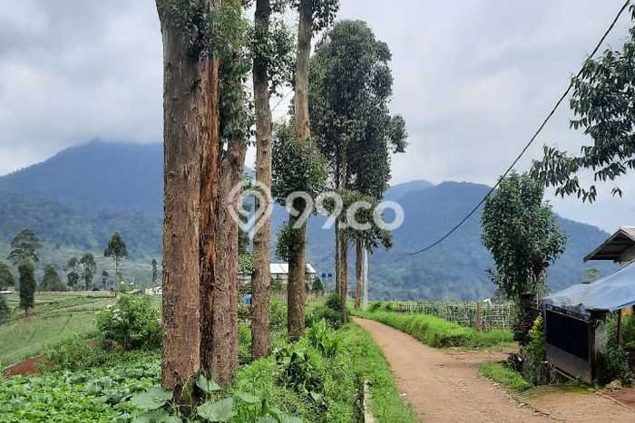 Lahan Kosong Dijual di Bandung dengan Area 2240m2 Lahan Kosong Dijual di Bandung dengan Area 2240m2