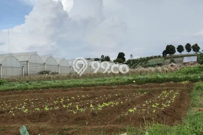 Tanah di Cisarua, Bandung Barat Luas 24445m2 Dijual Segera Tanah di Cisarua, Bandung Barat Luas 24445m2 Dijual Segera
