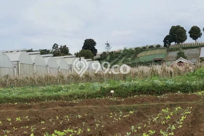 Tanah di Cisarua, Bandung Barat Luas 24445m2 Dijual Segera Tanah di Cisarua, Bandung Barat Luas 24445m2 Dijual Segera
