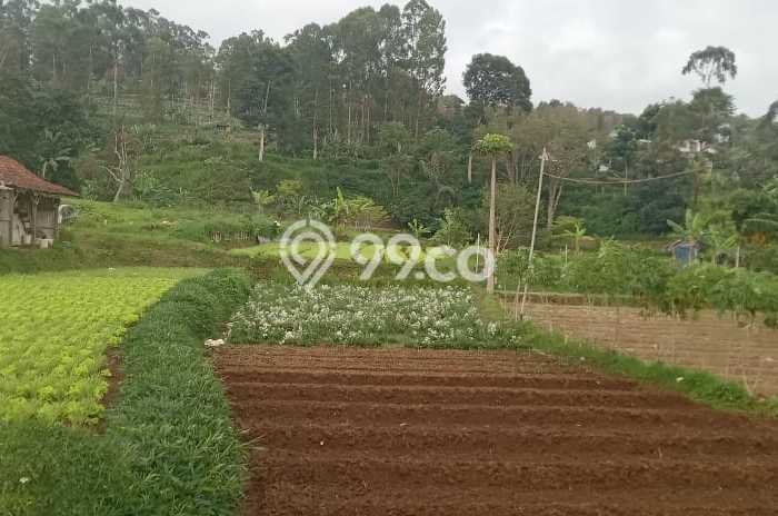 Kavling Tanah Dijual di Cililin Bandung Barat Spesifikasi 6500m2 Kavling Tanah Dijual di Cililin Bandung Barat Spesifikasi 6500m2