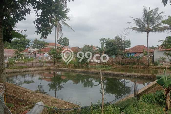 Dijual Tanah di Majalaya Bandung Luas 1120m2 SHM Dijual Tanah di Majalaya Bandung Luas 1120m2 SHM