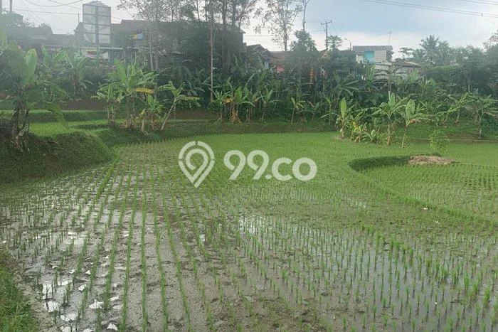 Jarang Ada! Tanah di Cililin Punya Luas 2129m2 SHM Jarang Ada! Tanah di Cililin Punya Luas 2129m2 SHM