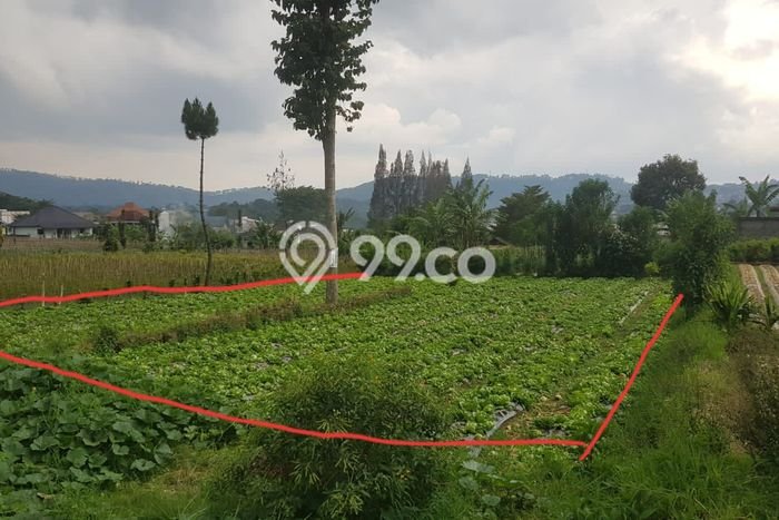 Tanah untuk Dijual di Lembang Bandung Barat Luas 1500m2 Tanah untuk Dijual di Lembang Bandung Barat Luas 1500m2