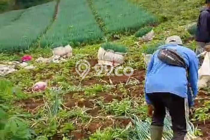 Lahan Kosong Dijual di Bandung dengan Area 2240m2 Lahan Kosong Dijual di Bandung dengan Area 2240m2