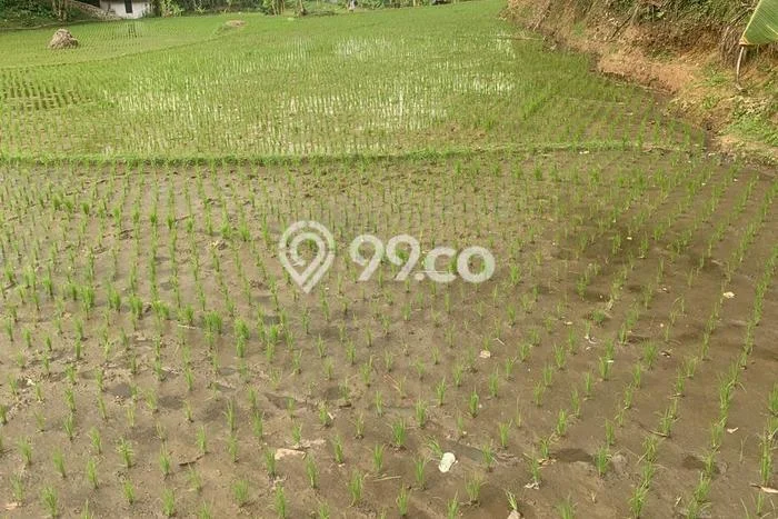 Jarang Ada! Tanah di Cililin Punya Luas 2129m2 SHM Jarang Ada! Tanah di Cililin Punya Luas 2129m2 SHM