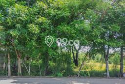 Lahan Dijual Lokasi Mauk, Tangerang dengan Luas Tanah 2800m2 dan Status - Lahan Dijual Lokasi Mauk, Tangerang dengan Luas Tanah 2800m2 dan Status -