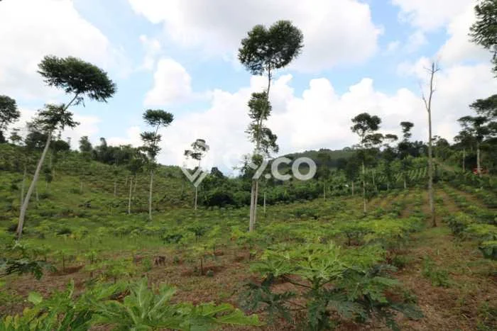 Rumah Eksklusif Siap Huni LT 330000m2 di Cianjur, Cianjur Rumah Eksklusif Siap Huni LT 330000m2 di Cianjur, Cianjur
