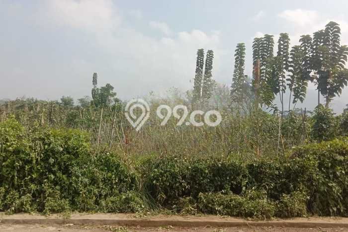 Tanah Dijual Lokasi Garut Kota, Garut Luas 5000m2 Legalitas Aman Tanah Dijual Lokasi Garut Kota, Garut Luas 5000m2 Legalitas Aman