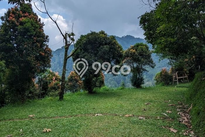 Komersial Usaha Dijual di Megamendung Bogor LT 110000m2 & LB 10000m2 Komersial Usaha Dijual di Megamendung Bogor LT 110000m2 & LB 10000m2