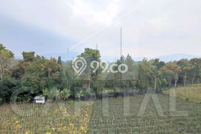 Lahan Kosong Dijual di Lembang, Bandung Barat, Luas 1320m2 Area Strategis Lahan Kosong Dijual di Lembang, Bandung Barat, Luas 1320m2 Area Strategis