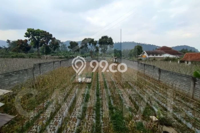 Lahan Kosong Dijual di Lembang, Bandung Barat, Luas 1320m2 Area Strategis Lahan Kosong Dijual di Lembang, Bandung Barat, Luas 1320m2 Area Strategis