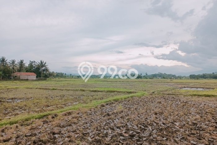 Lahan Strategis di Ciranjang Dijual dengan Luas 1471m2 Lahan Strategis di Ciranjang Dijual dengan Luas 1471m2