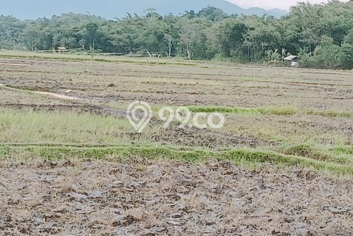 Lahan Kosong Dijual di Ciranjang, Cianjur, Luas 7666m2 Area Strategis Lahan Kosong Dijual di Ciranjang, Cianjur, Luas 7666m2 Area Strategis
