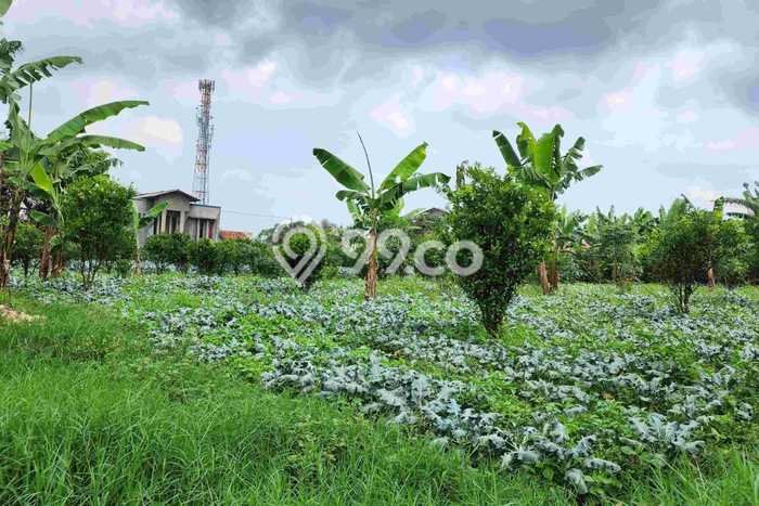 Tanah untuk Dijual Lokasi Lembang, Bandung Barat Luas 2395m2 SHM Tanah untuk Dijual Lokasi Lembang, Bandung Barat Luas 2395m2 SHM