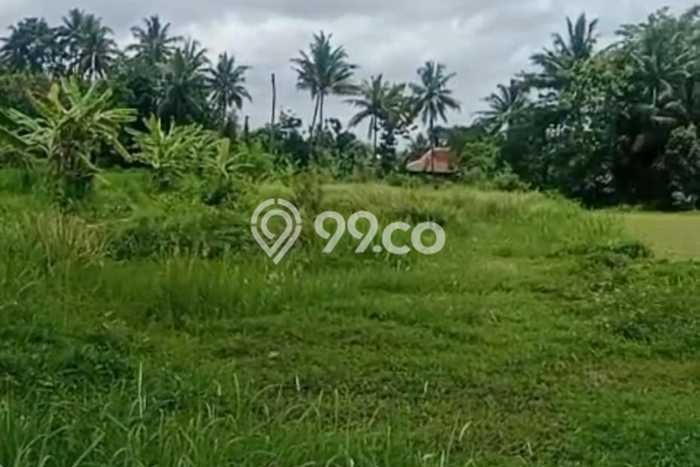 Disewakan Tanah Seluas 2300m2 di Pakem, Sleman Disewakan Tanah Seluas 2300m2 di Pakem, Sleman