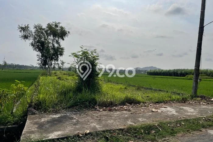 Tanah Dijual di Kulon Progo Seluas 550m2 Strategis Tanah Dijual di Kulon Progo Seluas 550m2 Strategis