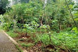 Kavling Tanah Dijual di Tembalang Semarang Spesifikasi 260m2 Kavling Tanah Dijual di Tembalang Semarang Spesifikasi 260m2