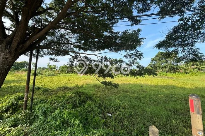 Lahan Kosong Dijual di Pusakanagara, Subang, Luas 70000m2 Area Strategis Lahan Kosong Dijual di Pusakanagara, Subang, Luas 70000m2 Area Strategis